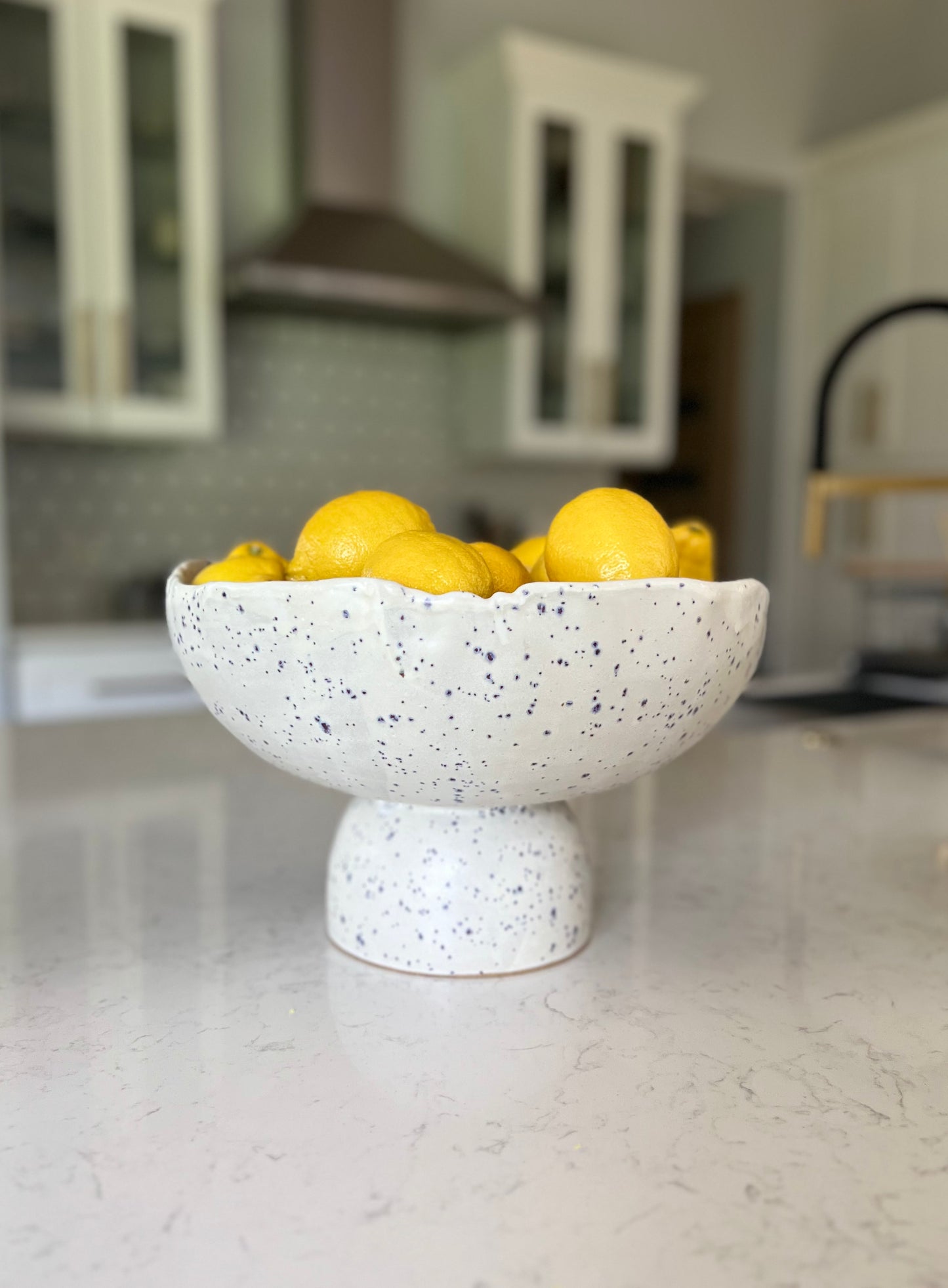 Pedestal Fruit Bowl - Matte White with Indigo Specks
