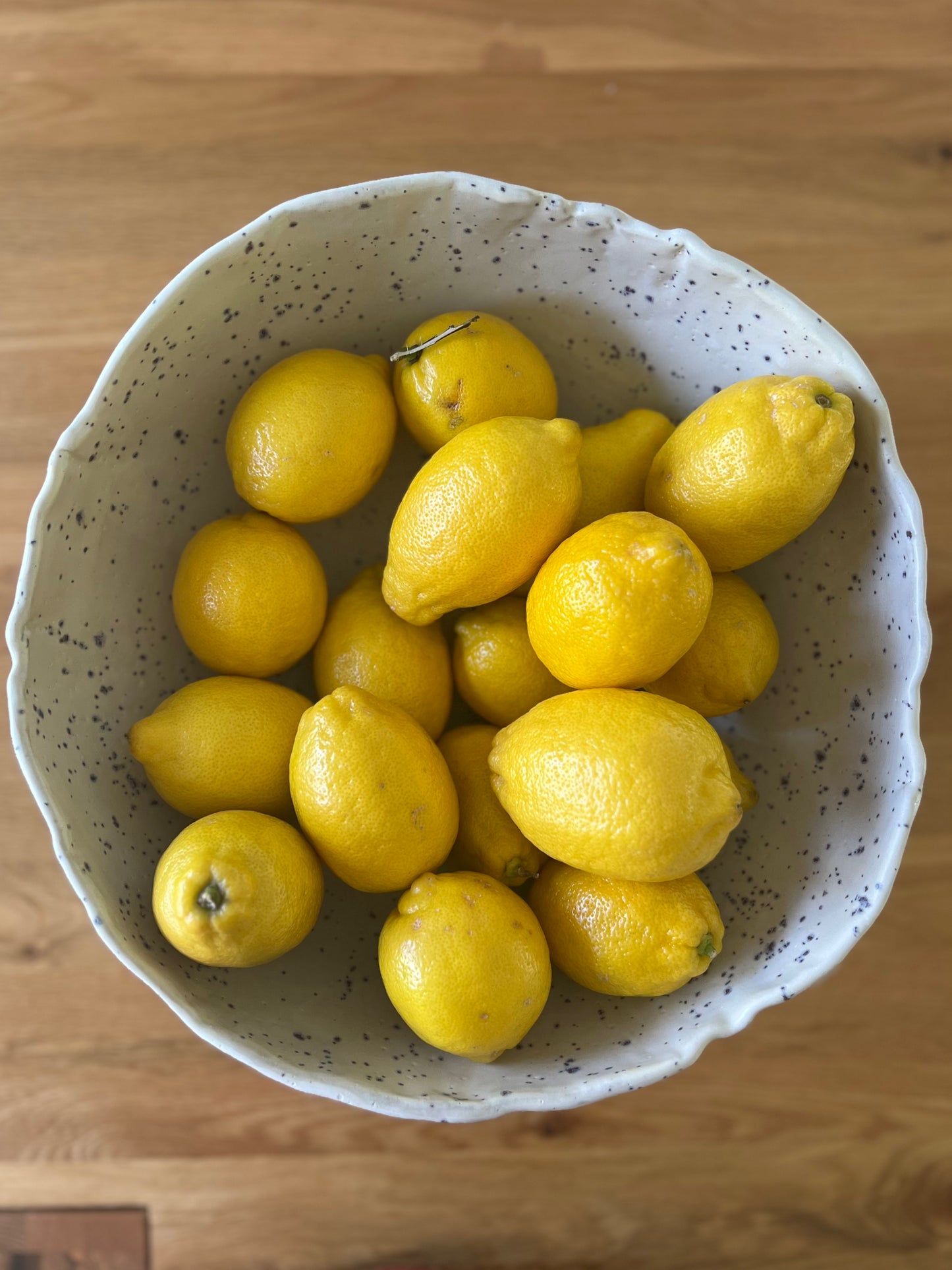 Pedestal Fruit Bowl - Matte White with Indigo Specks